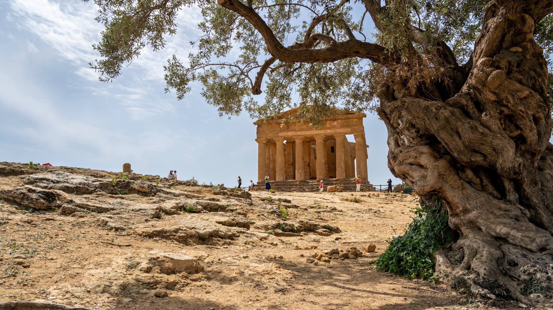 Der Concordia-Tempel, 440 bis 430 v. Chr. erbaut, zählt zu den besterhaltenen Tempeln der griechischen Antike. Sein Name stammt von einer lateinischen Inschrift in der Nähe, die die Eintracht der Agrigentiner beschreibt. Die dem Tempel geweihte griechische Gottheit ist unbekannt.